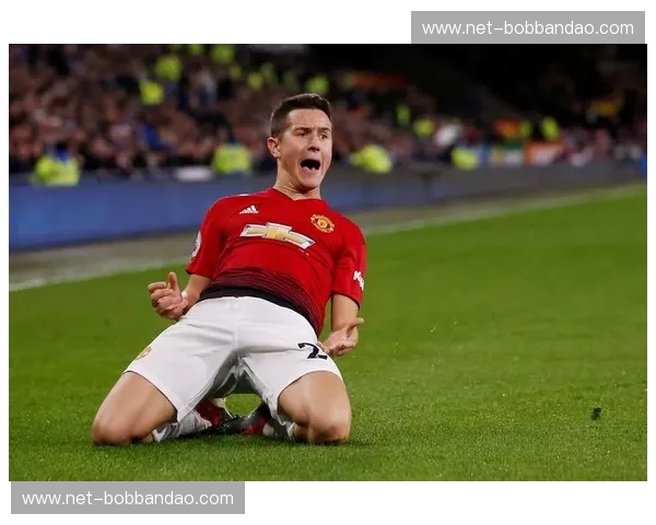 威尔士孤勇之战:卡迪夫城能否掀翻红魔曼联? 威尔士孤勇之战:卡迪夫城能否掀翻红魔曼联?